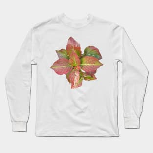 Red leaves Long Sleeve T-Shirt